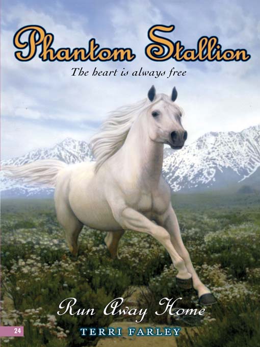 Cover image for Run Away Home